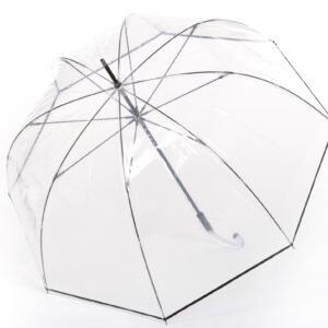 Knirps C.760 Stick Transparent paraplu zwart/transparant open