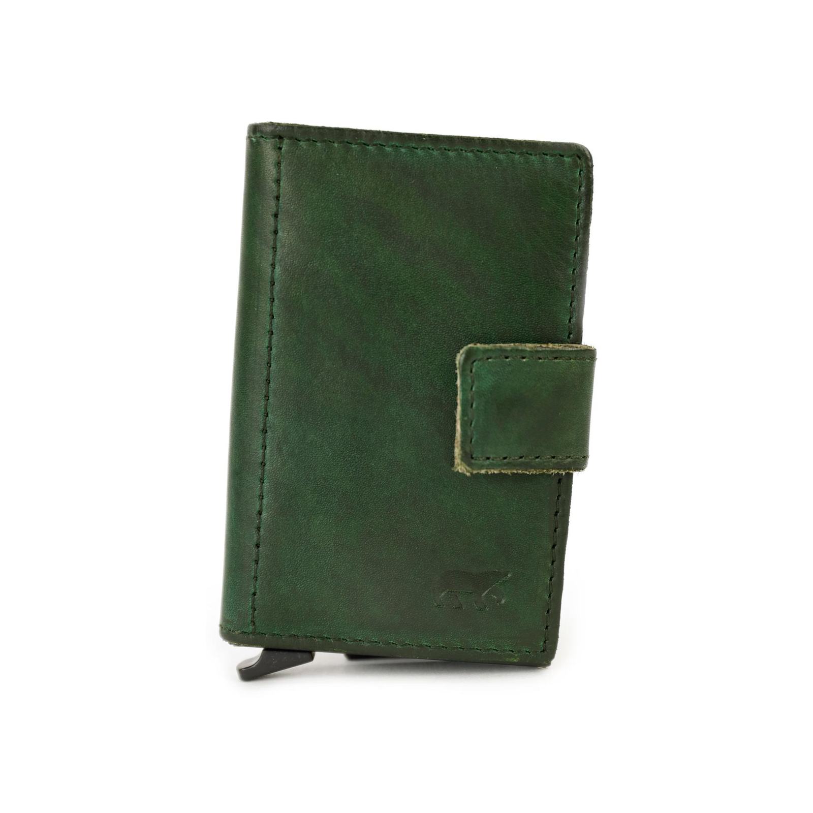 Bear Design Pip CL15254 pasjeshouder - Green